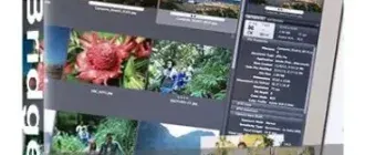 Иконка Adobe Bridge 2022 12.0.3.270 RePack by KpoJIuK [Multi Ru]