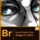 Иконка Adobe Bridge CC 2018 8.0.1.282 RePack by KpoJIuK (2018) Multi Русский