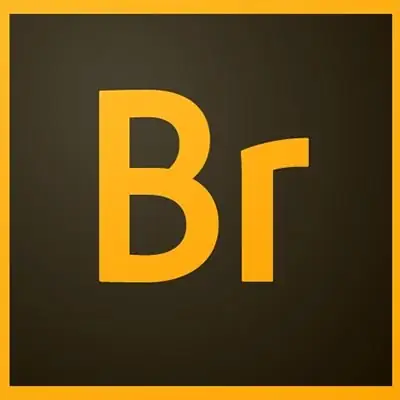 Иконка Adobe Bridge CC 2019 9.0.2.219 (2018) PC RePack by KpoJIuK