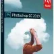 Иконка Adobe Photoshop CC 2019 (20.0.6) x64 Portable [with Plugins] (2019) Multi Русский