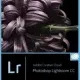 Иконка Adobe Photoshop Lightroom CC 2015.12 (6.12) (2017) Multi Русский