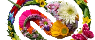 Иконка Adobe Special Collection for Windows 7 [v 4.0] (2021) РС by m0nkrus