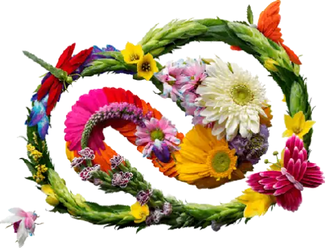 Иконка Adobe Special Collection for Windows 7 [v 4.0] (2021) РС by m0nkrus