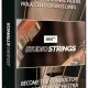 Иконка AIR Music Technology - Studio Strings 1.1.0 Standalone, VSTi, VSTi3, AAX (x64) RePack by R2R [En]