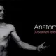 Иконка Anatomy360 - Male and Female Bundle 5.4.1 (2017) Английский