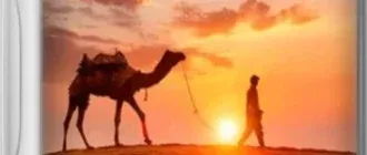 Иконка Ashampoo Photo Commander