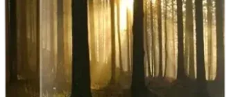 Иконка Atmosphere Deluxe 7.1 [En]