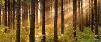 Иконка Аура 2.8.10.211 [Multi Ru]