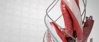 Иконка Autodesk AutoCAD MEP 2017 HF1 x86 x64 (2016) RUS ENG