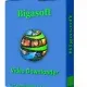 Иконка Bigasoft Video Downloader Pro 3.14.7.6396 RePack (2017) Multi Английский