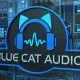 Иконка Blue Cat's All Plug-Ins Pack (2020.11) STANDALONE, VST, VST3, RTAS, AAX RePack by VR [En]
