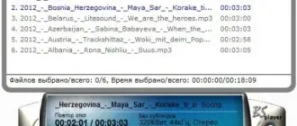 Иконка BS.Player