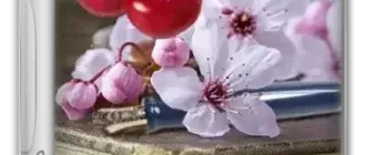 Иконка CherryTree 1.1.0.0 (x64) + Portable [Multi Ru]