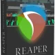Иконка Cockos - Reaper 6.65 (2022) PC RePack & Portable by xetrin