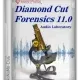 Иконка Diamond Cut Forensics Audio Laboratory 11.04 [En]