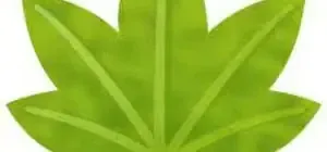 Иконка Digimizer 6.3.0 [En]