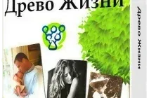 Иконка Древо Жизни