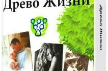 Иконка Древо Жизни