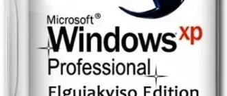 Иконка Elgujakviso Edition