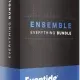 Иконка Eventide - Ensemble Bundle 2.15.6 VST, VST3, AAX (x64) RePack by R2R [En]