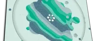 Иконка Excite Audio - Motion Fractal 1.0.0 STANDALONE, VST, VST 3, AAX (x64) [En]