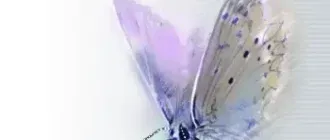 Иконка Exif Pilot 6.0.2 [En]