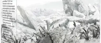 Иконка Futuremark 3DMark 2.9.6631 Developer Edition (2019) PC RePack by KpoJIuK