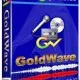 Иконка GoldWave 6.28 RePack (2017) Английский