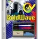 Иконка GoldWave 7.01 [Multi Ru]