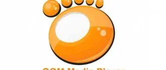 Иконка GOM Player 2.3.3 Build 5254 Final (2016) Multi Русский