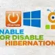 Иконка Hibernate Enable or Disable 1.3 Portable [Multi Ru]