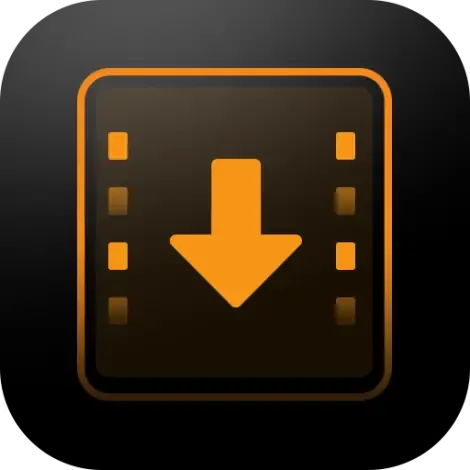 Иконка iDownerGo Video Downloader 10.2.2 RePack (& Portable) by elchupacabra [Multi Ru]
