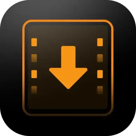 Иконка iDownerGo Video Downloader 10.2.4 RePack (& Portable) by elchupacabra [Multi Ru]
