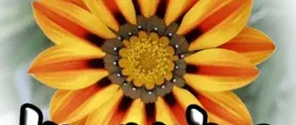 Иконка Imagine 1.1.4 + Portable + Plugins [Multi Ru]