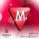 Иконка Infolytica MagNet 7.4.1.4 [En]
