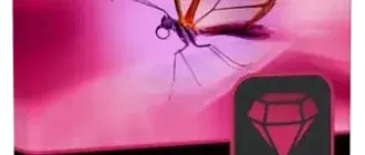 Иконка inPixio Photo Focus Pro 4.3.8624 Portable by FC Portables [Multi]