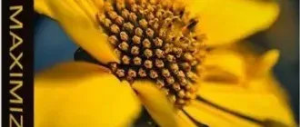 Иконка InPixio Photo Maximizer Pro 5.12.7697 RePack (& Portable) by TryRooM [Ru En]