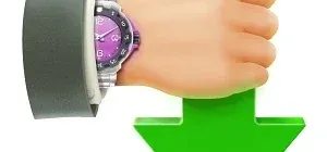 Иконка Internet Download Accelerator