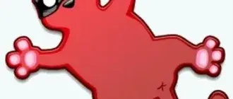 Иконка IrfanView 4.58 + Plugins (2021) PC