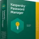 Иконка Kaspersky Password Manager 9.0.1.447 x86 x64 [2018, MULTILANG +RUS]