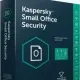 Иконка Kaspersky Small Office Security 21.15.8.493 (Web Installer) [Ru]