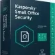 Иконка Kaspersky Small Office Security 21.18.5.438 [Ru]