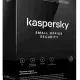 Иконка Kaspersky Small Office Security 21.19.7.527 [Ru]