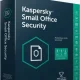 Иконка Kaspersky Small Office Security 21.8.5.452909 Online Installer [Ru]