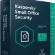 Иконка Kaspersky Small Office Security 21.9.6.465 (Web Installer)[Ru]
