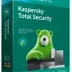 Иконка Kaspersky Total Security 21.3.10.391 (Web Installer) [Ru]