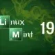 Иконка Linux Mint Cinnamon 19 Tara для Torrent TV [x86-64](2018) РС