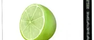 Иконка LiteManager 5.0 Free Pro [Ru En]