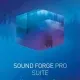 Иконка MAGIX SOUND FORGE Pro Suite 12.1.0 Build 170 (x86 x64) [En]