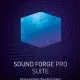 Иконка MAGIX Sound Forge Pro Suite 14.0.0.130 (x86 x64) [En]